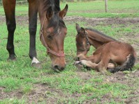 /album/fotogallerij/p1050597-jpg/