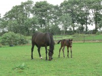 /album/fotogallerij/p1050557-jpg/