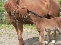 /album/fotogallerij/p1050504-jpg/