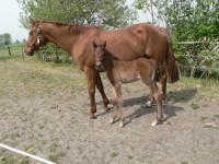 /album/fotogallerij/p1050499-jpg/